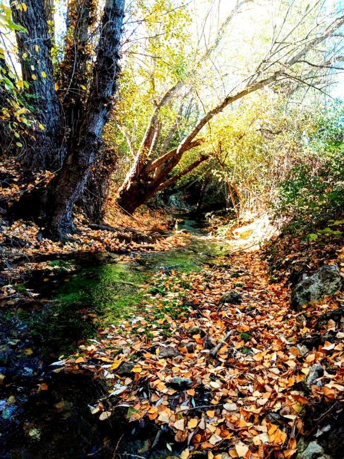 Alojamiento Rural Los Hacheros تراجاسيتي المظهر الخارجي الصورة