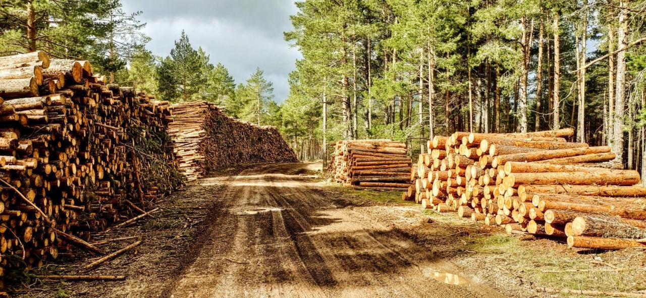Alojamiento Rural Los Hacheros تراجاسيتي المظهر الخارجي الصورة