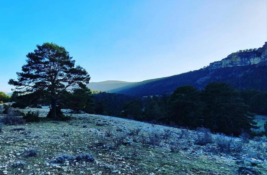 Alojamiento Rural Los Hacheros تراجاسيتي المظهر الخارجي الصورة
